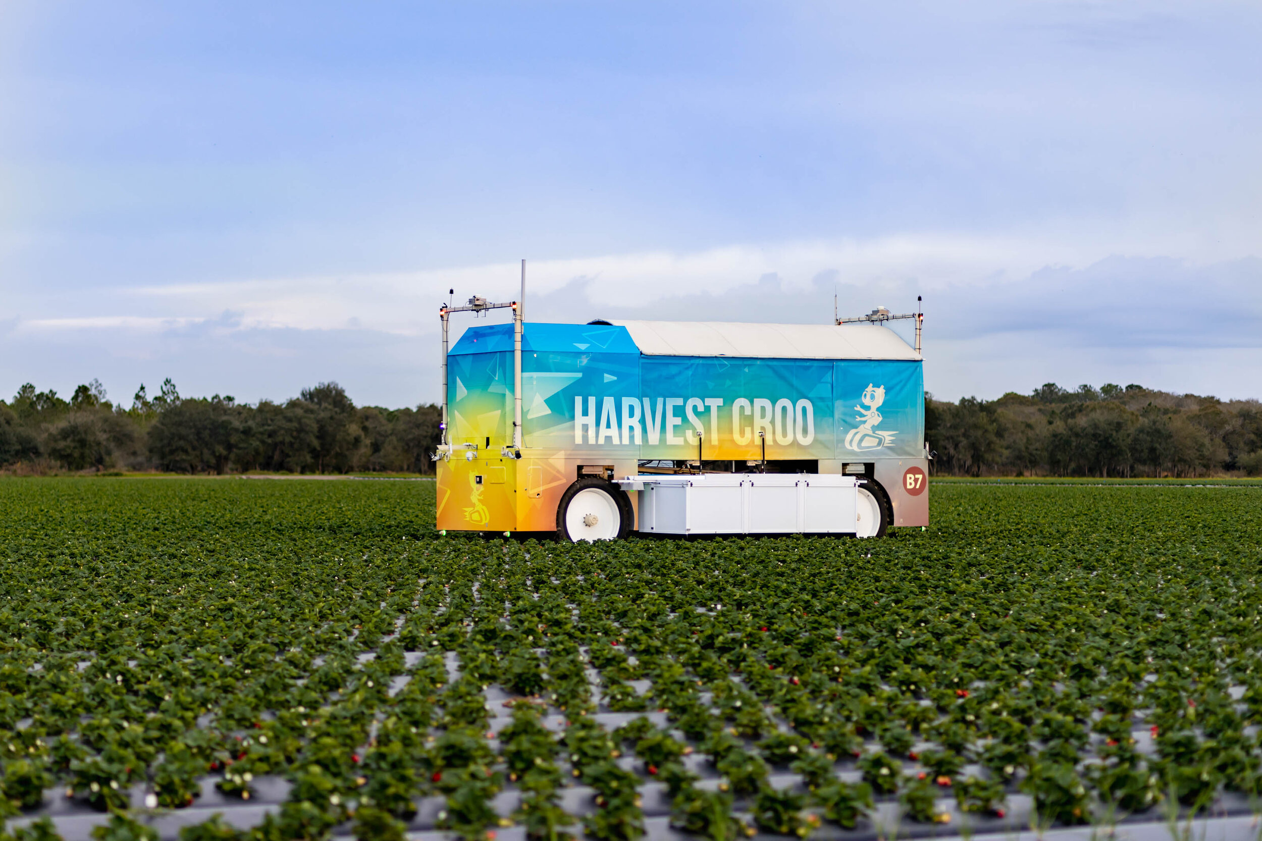 HCR Harvester