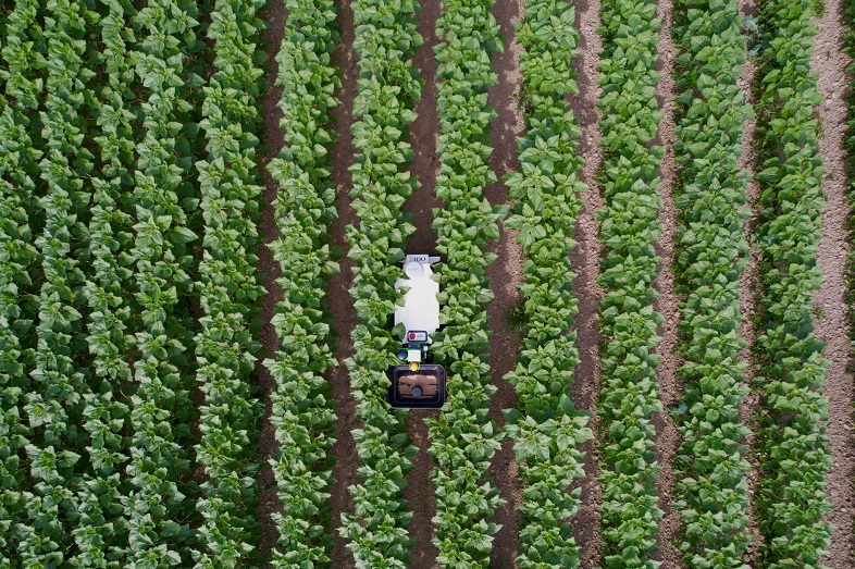 oz-023cc7d6-3fef-4d6d-afa5-79f54aead29c-2