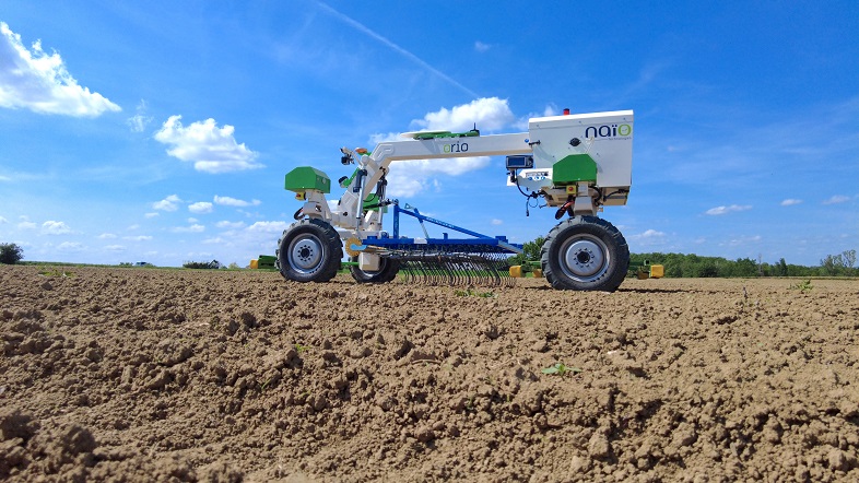 orio-tournesol-treffler-copy