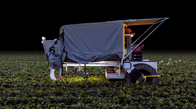 BetterPick - Strawberry Harvester