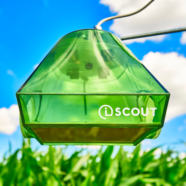 iSCOUT