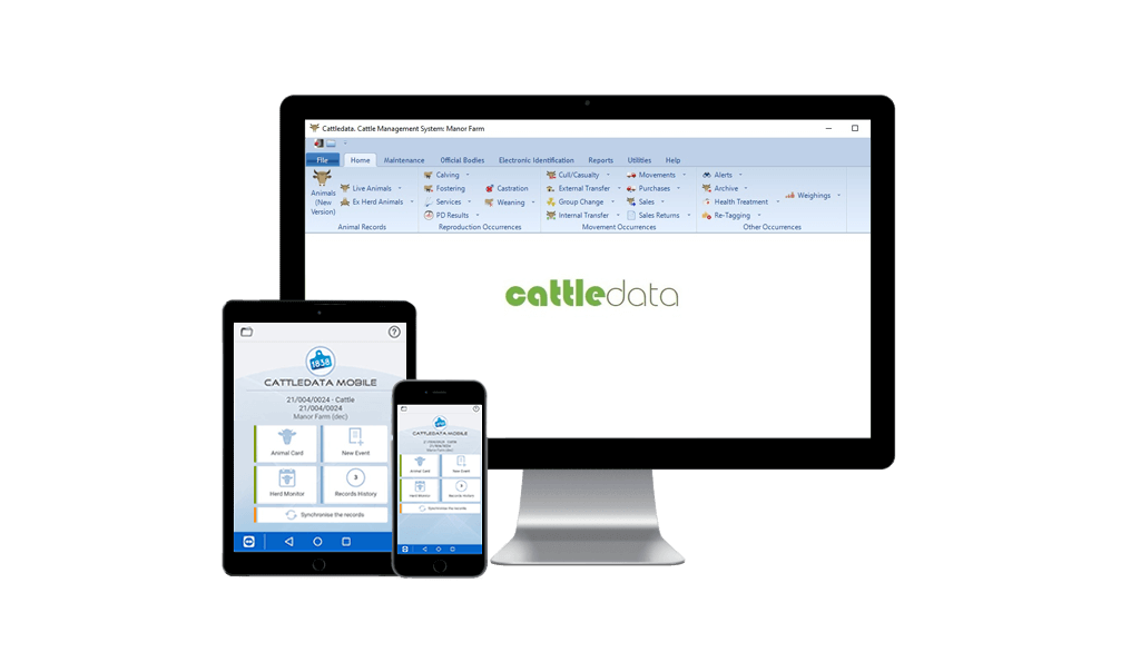 Cattledata