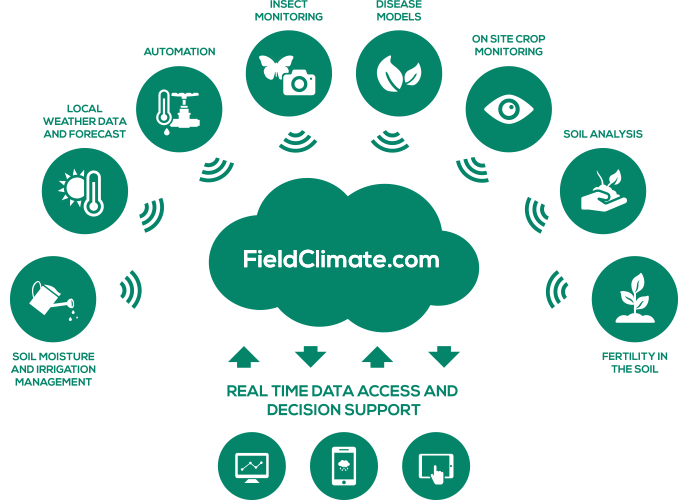 446a-holisticsolutionsen